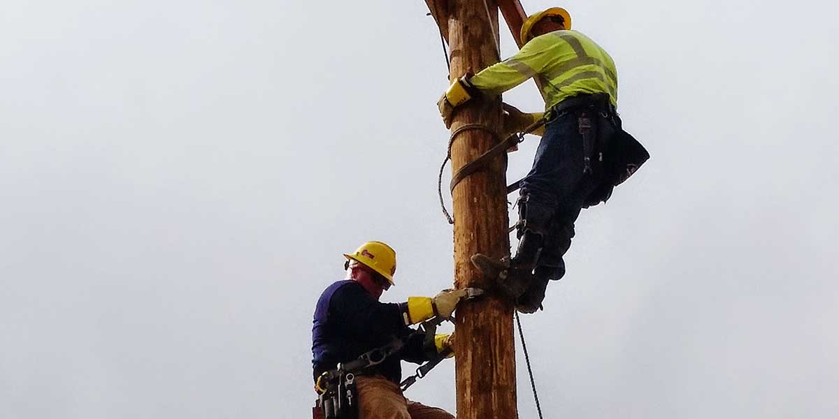 PMLP Line Crew on a pole